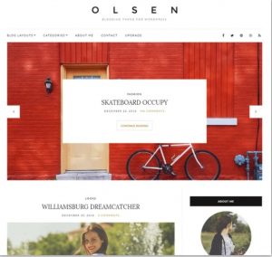 olsen light free theme for blog